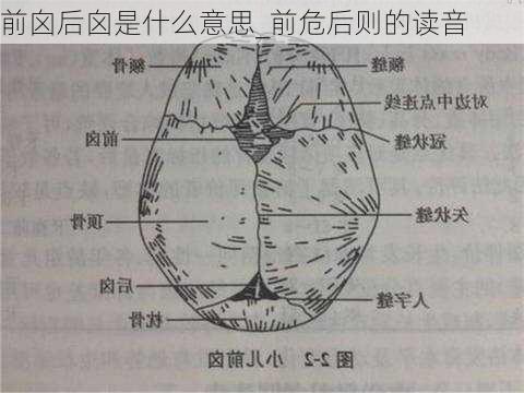 前囟后囟是什么意思_前危后则的读音