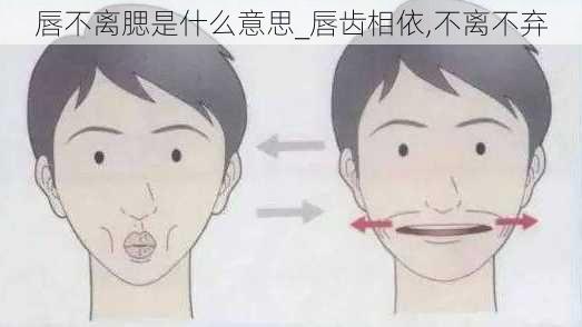 唇不离腮是什么意思_唇齿相依,不离不弃