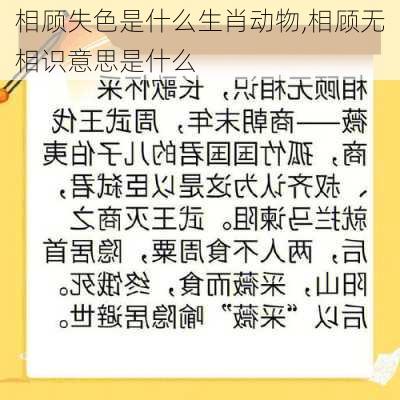 相顾失色是什么生肖动物,相顾无相识意思是什么