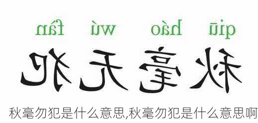 秋毫勿犯是什么意思,秋毫勿犯是什么意思啊