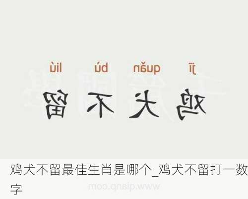 鸡犬不留最佳生肖是哪个_鸡犬不留打一数字