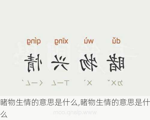 睹物生情的意思是什么,睹物生情的意思是什么