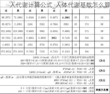 人代谢计算公式_人体代谢基数怎么算