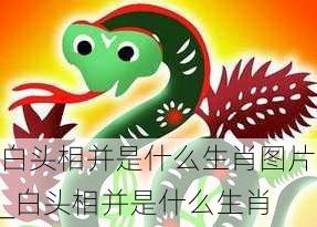 白头相并是什么生肖图片_白头相并是什么生肖