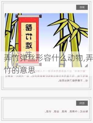 弄竹弹丝形容什么动物,弄竹的意思