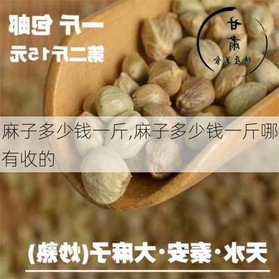 麻子多少钱一斤,麻子多少钱一斤哪有收的