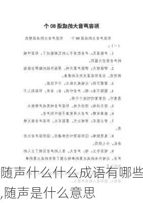 随声什么什么成语有哪些,随声是什么意思