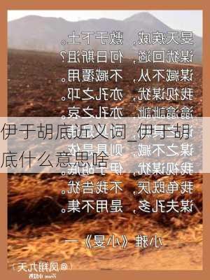 伊于胡底近义词_伊于胡底什么意思啥