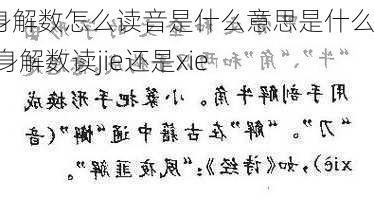 浑身解数怎么读音是什么意思是什么,浑身解数读jie还是xie