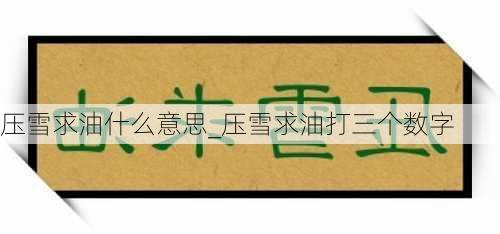 压雪求油什么意思_压雪求油打三个数字