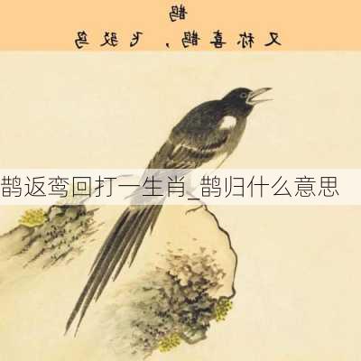 鹊返鸾回打一生肖_鹊归什么意思