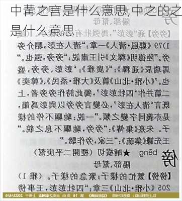 中冓之言是什么意思,中之的之是什么意思