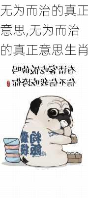 无为而治的真正意思,无为而治的真正意思生肖