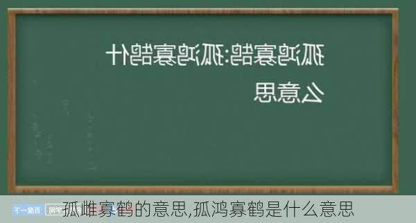 孤雌寡鹤的意思,孤鸿寡鹤是什么意思