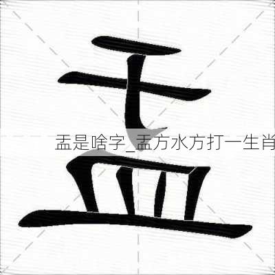 盂是啥字_盂方水方打一生肖