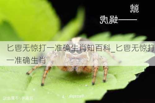 匕鬯无惊打一准确生肖知百科_匕鬯无惊打一准确生肖