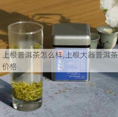 上根普洱茶怎么样,上根大器普洱茶价格