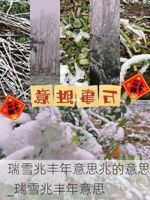 瑞雪兆丰年意思兆的意思_瑞雪兆丰年意思