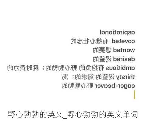 野心勃勃的英文_野心勃勃的英文单词