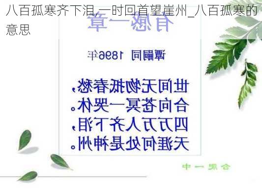 八百孤寒齐下泪,一时回首望崖州_八百孤寒的意思