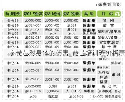 学琵琶对身体的伤害_琵琶培训班价格表