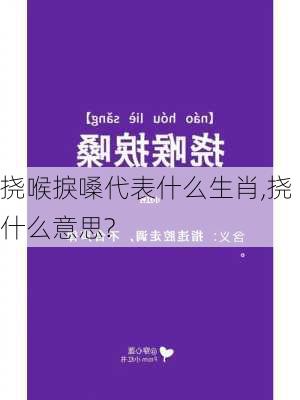 挠喉捩嗓代表什么生肖,挠什么意思?