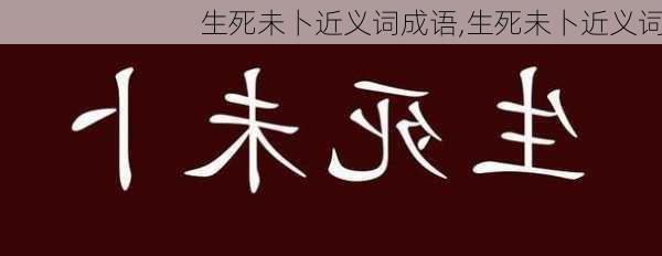 生死未卜近义词成语,生死未卜近义词