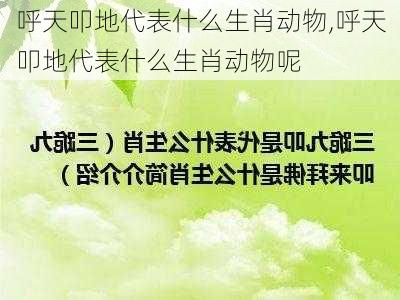 呼天叩地代表什么生肖动物,呼天叩地代表什么生肖动物呢