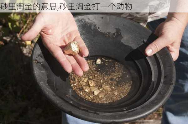 砂里淘金的意思,砂里淘金打一个动物