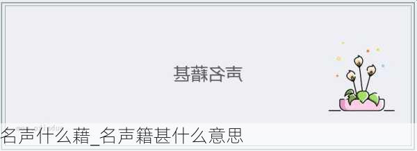 名声什么藉_名声籍甚什么意思