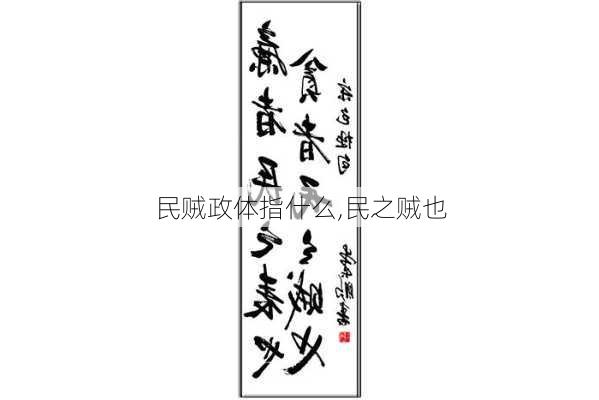 民贼政体指什么,民之贼也