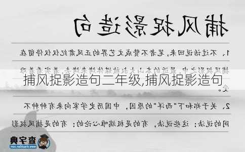 捕风捉影造句二年级,捕风捉影造句