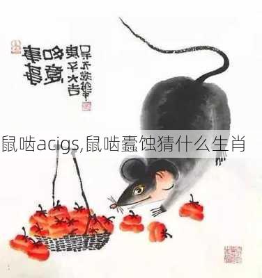 鼠啮acigs,鼠啮蠹蚀猜什么生肖