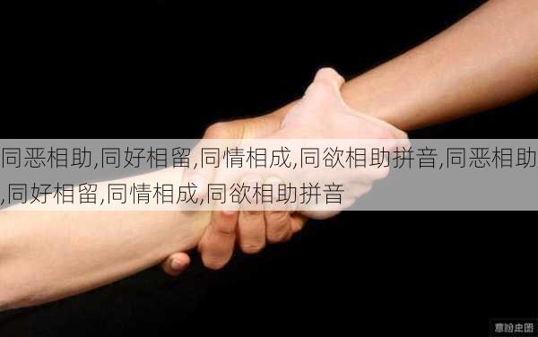 同恶相助,同好相留,同情相成,同欲相助拼音,同恶相助,同好相留,同情相成,同欲相助拼音