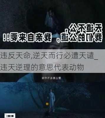 违反天命,逆天而行必遭天谴_违天逆理的意思代表动物