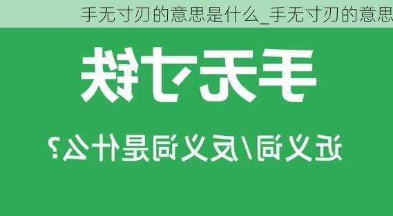 手无寸刃的意思是什么_手无寸刃的意思