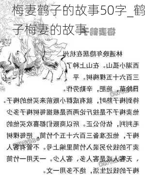 梅妻鹤子的故事50字_鹤子梅妻的故事