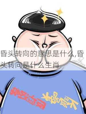 昏头转向的意思是什么,昏头转向是什么生肖