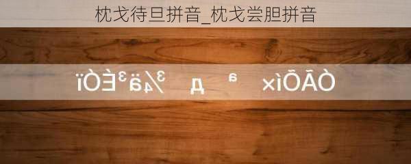 枕戈待旦拼音_枕戈尝胆拼音