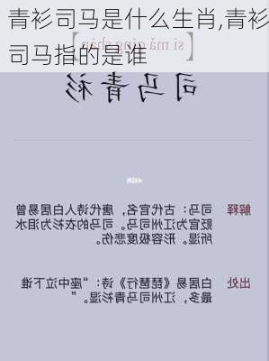 青衫司马是什么生肖,青衫司马指的是谁