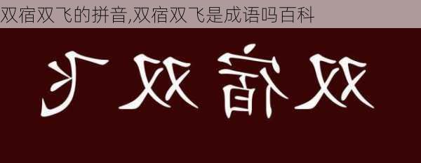 双宿双飞的拼音,双宿双飞是成语吗百科