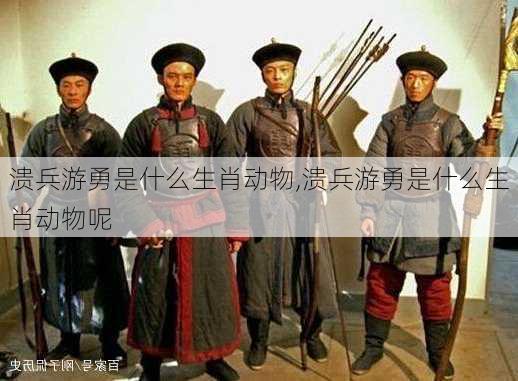 溃兵游勇是什么生肖动物,溃兵游勇是什么生肖动物呢