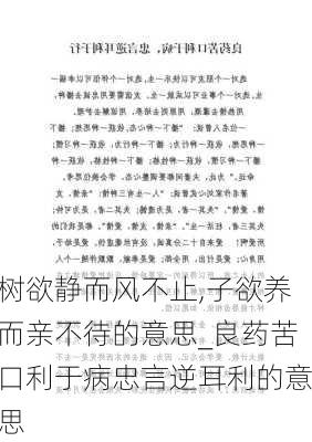 树欲静而风不止,子欲养而亲不待的意思_良药苦口利于病忠言逆耳利的意思