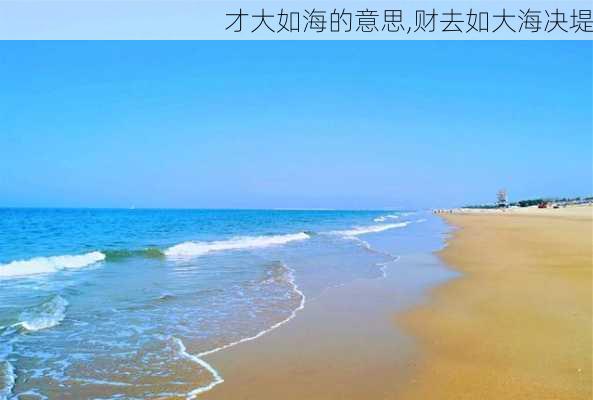 才大如海的意思,财去如大海决堤