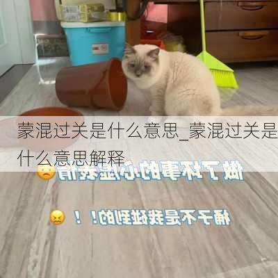 蒙混过关是什么意思_蒙混过关是什么意思解释