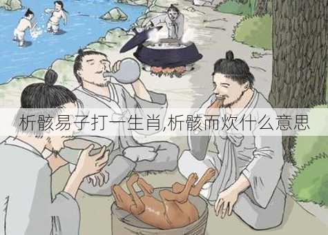 析骸易子打一生肖,析骸而炊什么意思