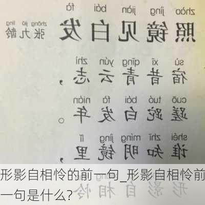 形影自相怜的前一句_形影自相怜前一句是什么?