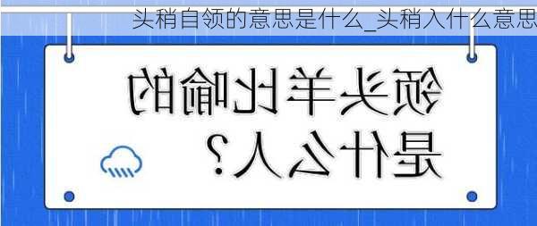 头稍自领的意思是什么_头稍入什么意思