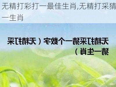 无精打彩打一最佳生肖,无精打采猜一生肖