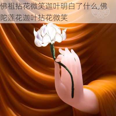 佛祖拈花微笑迦叶明白了什么,佛陀莲花迦叶拈花微笑